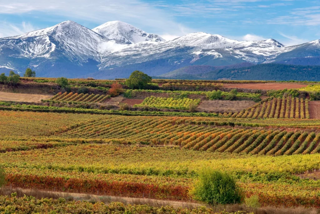 Partner Business Central (NAV) en La Rioja