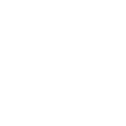 Bimba-y-lola-logo_blanco